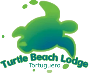 logo of a turtle