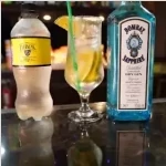 alcoholic drink with lemon slices